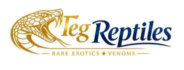 Teg Reptiles